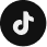 TikTok icon